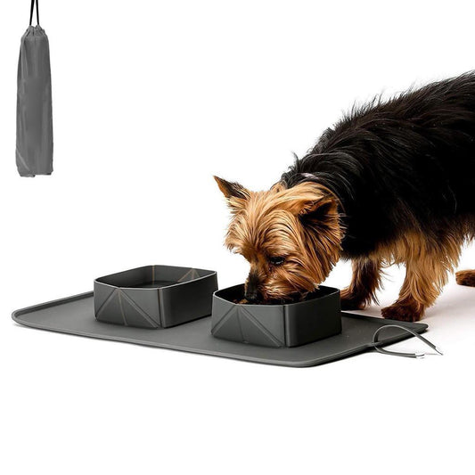 Collapsible Pet Feeding Bowl